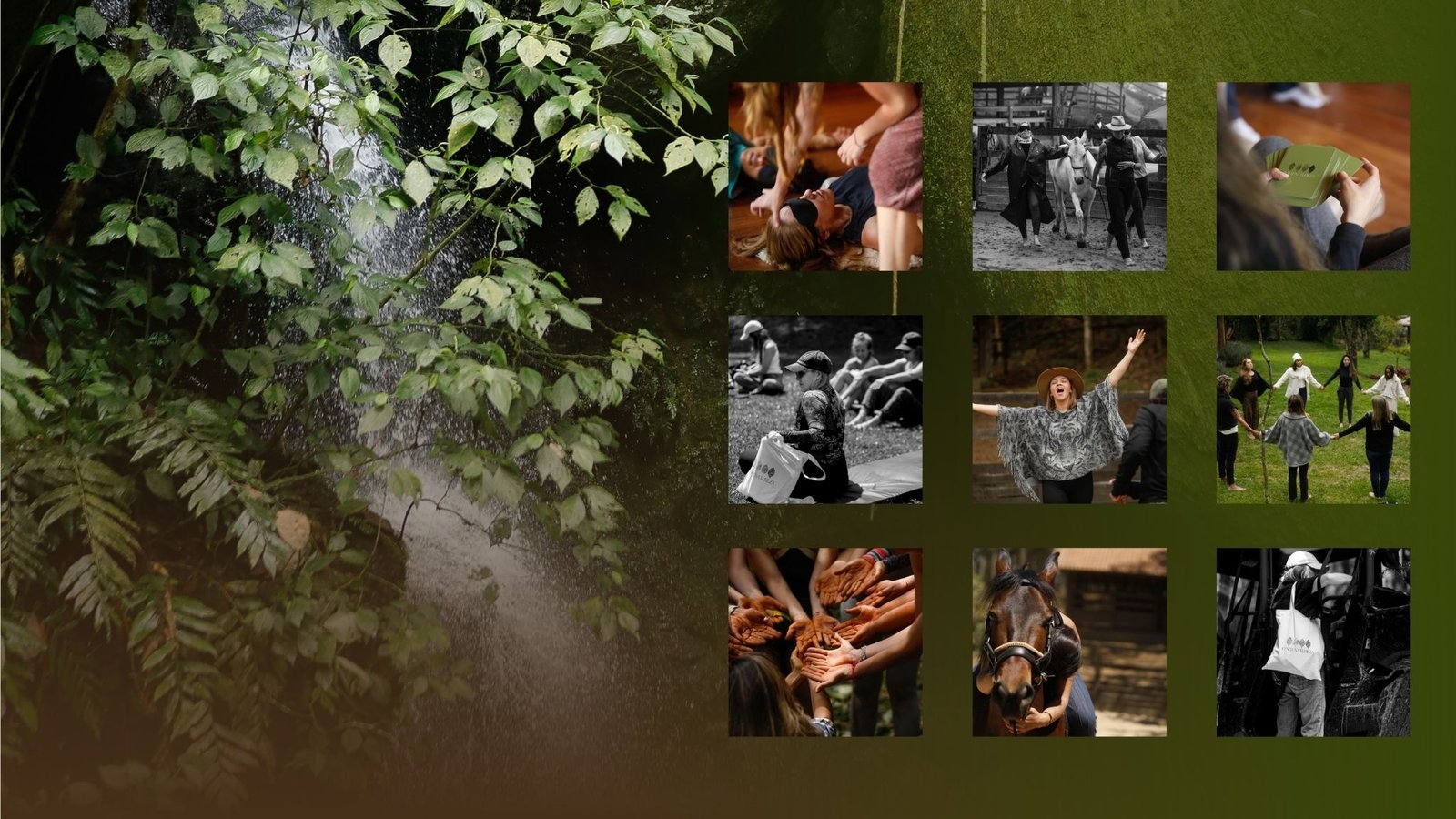 caroline_szajman_galeria_o_ser_natureza